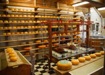 The trends in food manufacturing