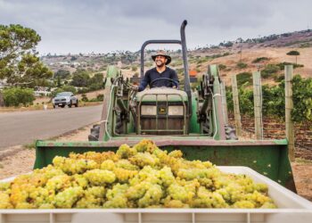 Managing quality in the delivery chain