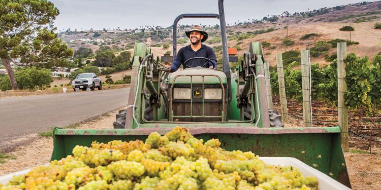 Managing quality in the delivery chain