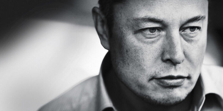 Musk looking into connecting our brains to the Internet - CEO North America Musk looking into connecting our brains to the Internet