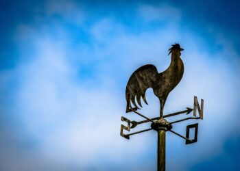 Digital adoption on the rise for rural America but still lacking