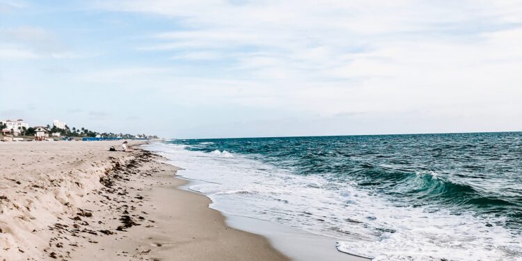 Americans making travel plans in droves - CEO North America Auto insurance rates could continue to rise