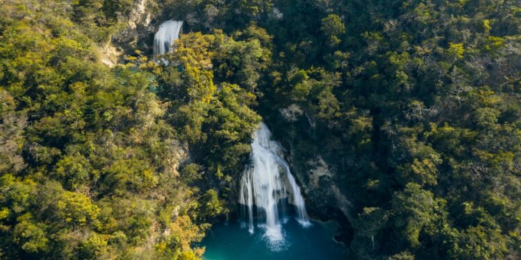 The race to net-zero is on. This is how we can cross the finish line. - CEO North America Emmys 2021: Who will be nominated?