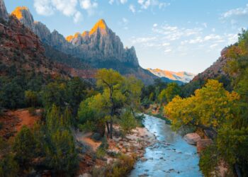 - Leading in a low-carbon future