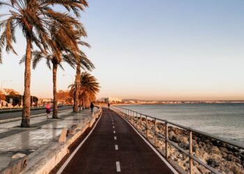 - Europe reopens: Spain, France, Denmark and Greece welcome tourists