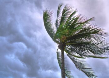 Miami-Dade preparing for Tropical Storm Elsa amid condo collapse