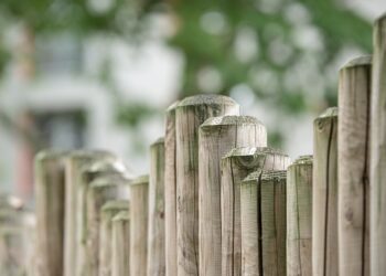 Restoring cross-border mobility