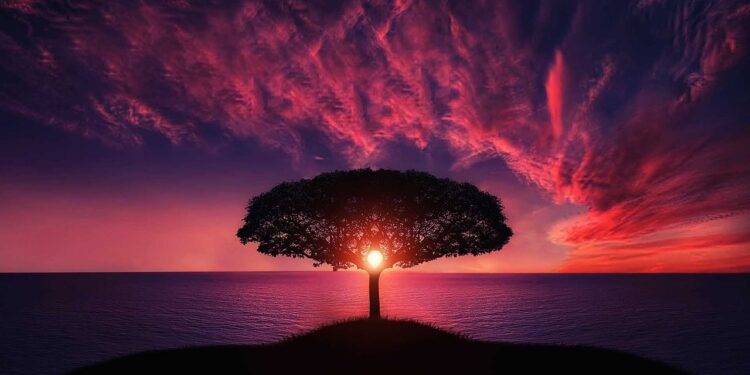 One simple step to more intelligent forecasting