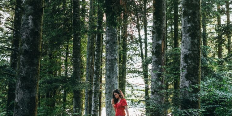 Investing in nature gives industry and business a competitive advantage. Here’s why. - CEO North America Investing in nature gives industry and business a competitive advantage. Here’s why.