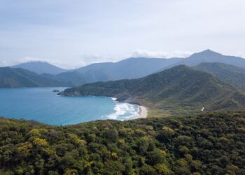 A Colombian energy company’s bold bet on sustainability