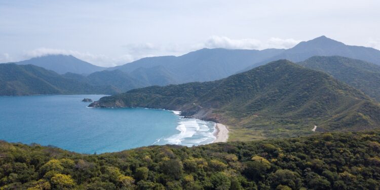 A Colombian energy company’s bold bet on sustainability