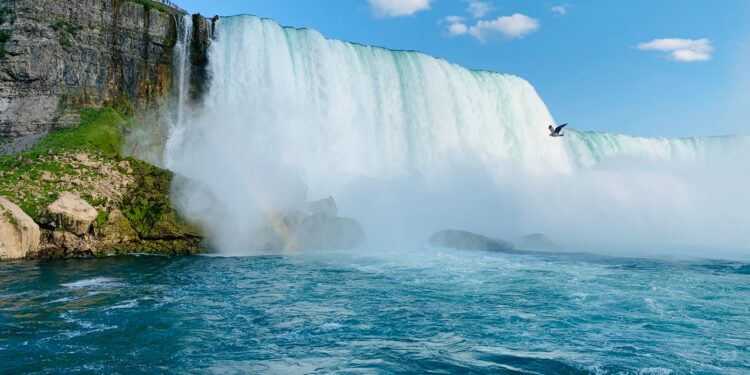 What unseen megatrends will shape your transformation?