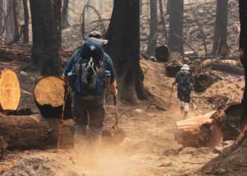 California’s climate change fight at stake in Tuesday’s recall election