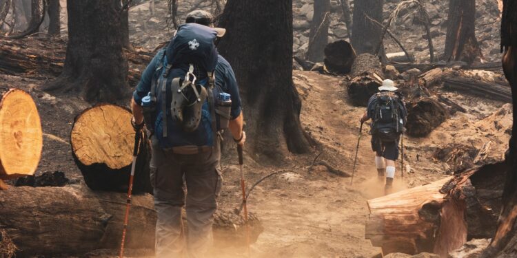 California’s climate change fight at stake in Tuesday’s recall election