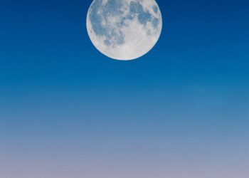 Musk to Bezos: ‘You cannot sue your way to the Moon’