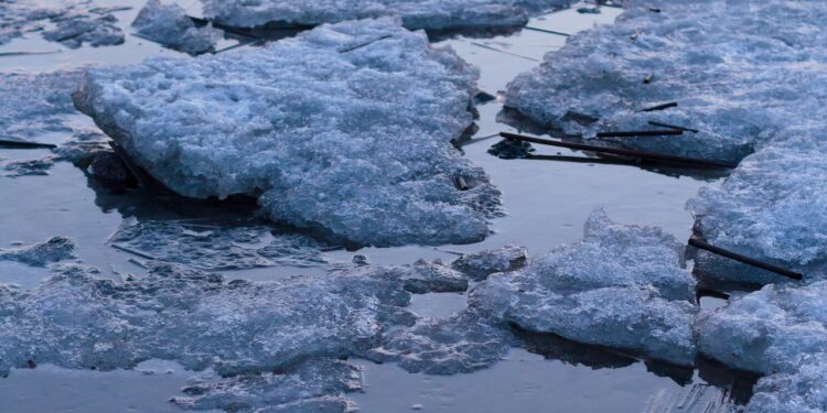 Democrats ask oil companies to testify on climate change disinformation