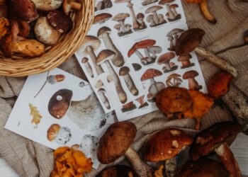 Transform your learning experience with design thinking