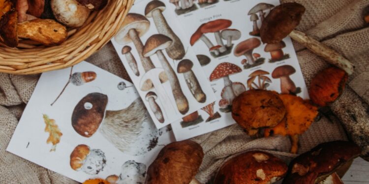 5 autumn catering ideas for inspiration - CEO North America Transform your learning experience with design thinking