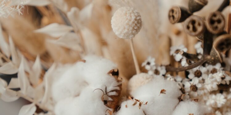 Here’s what high cotton prices mean for retailers and consumers