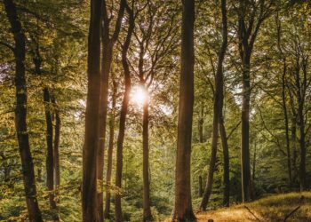 The next generation of climate innovation