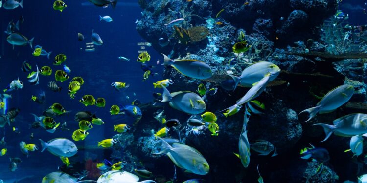 How do you succeed as a business ecosystem contributor?