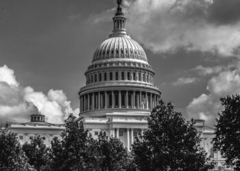 What’s next for Greyhound post-pandemic?