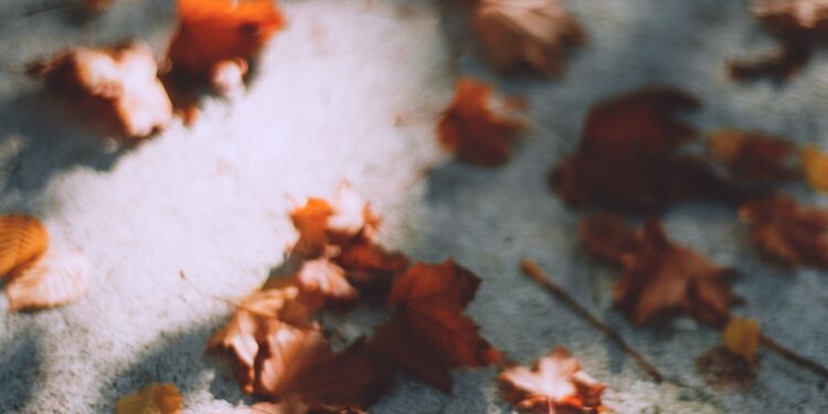 Hasbro CEO Brian Goldner passes away days after stepping down for health reasons - CEO North America Hasbro CEO Brian Goldner passes away days after stepping down for health reasons