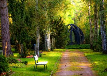 Former U.S. Secretary of State Powell dies of complications from COVID-19