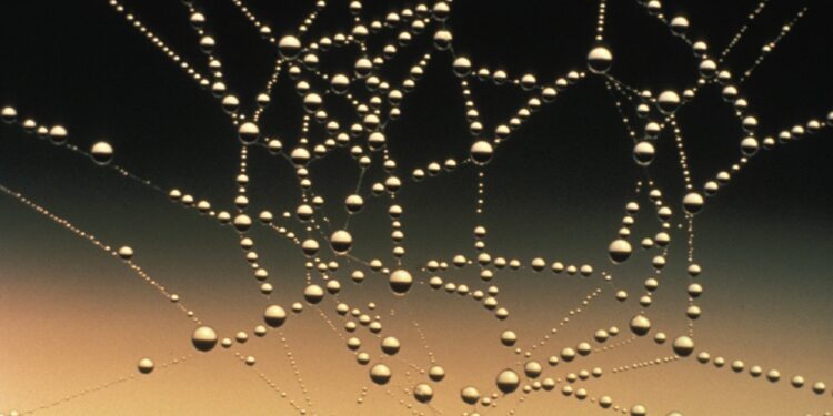 Securing a hyperconnected world