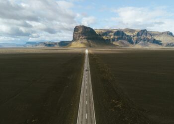 What’s next for Greyhound post-pandemic?