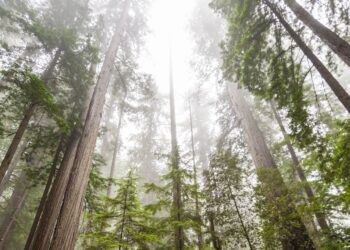 First bitcoin futures ETF rises 3% in NYSE debut