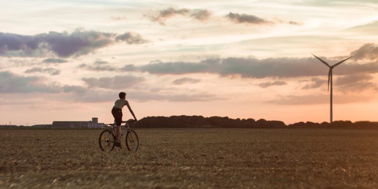 Insights from Larry Fink on the future of sustainable investing - CEO North America Insights from Larry Fink on the future of sustainable investing