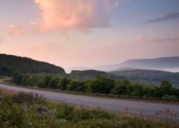 Cop President Daily Media Statement And Latest Announcements