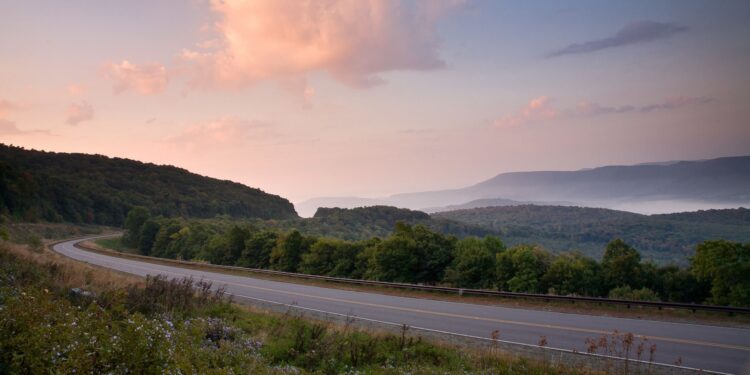 Nature And Climate Are Our Most Fundamental Infrastructure - CEO North America Cop President Daily Media Statement And Latest Announcements