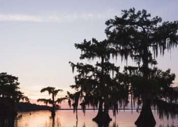 Pitfalls of Energy Transition on Full Display in Europe