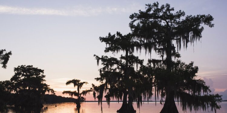 Pitfalls of Energy Transition on Full Display in Europe