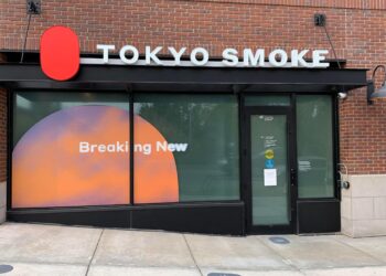 Building Fractal Advantage in a Fragmenting World