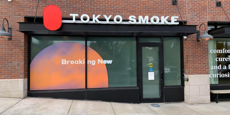 Building Fractal Advantage in a Fragmenting World