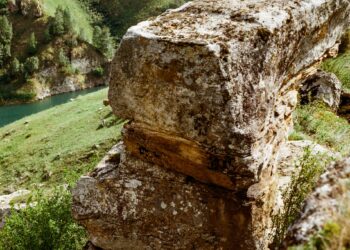 KPMG launches Net Zero Readiness Index