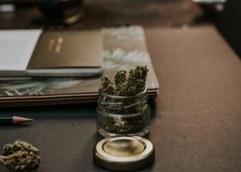 Canadian Aurora Cannabis buys stake in Dutch market