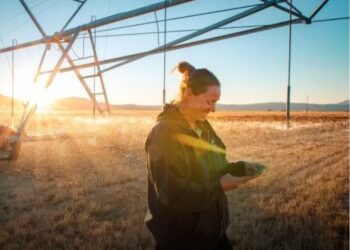 Crypto Boom Poses New Challenges to Financial Stability