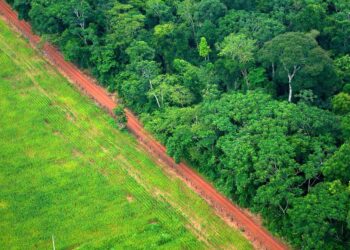 The new consumer loyalty landscape: Transcending consumer expectations