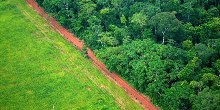 Deforestation: Solved via carbon markets? - CEO North America The new consumer loyalty landscape: Transcending consumer expectations