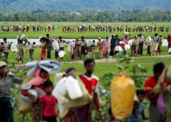 Has the zombie apocalypse of forest fires begun?