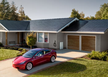 Has the zombie apocalypse of forest fires begun?