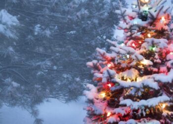 Oil and Bitcoin Recover as Omicron Shock Fades