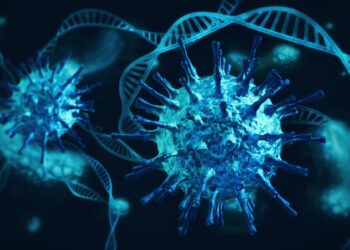 US Per Capita Carbon Footprint Looms Large