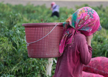 Meeting in Montréal? What you need to know