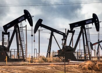 Musk Time Magazine’s Person of the Year