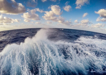 What Works—and What Doesn’t—in Transformation